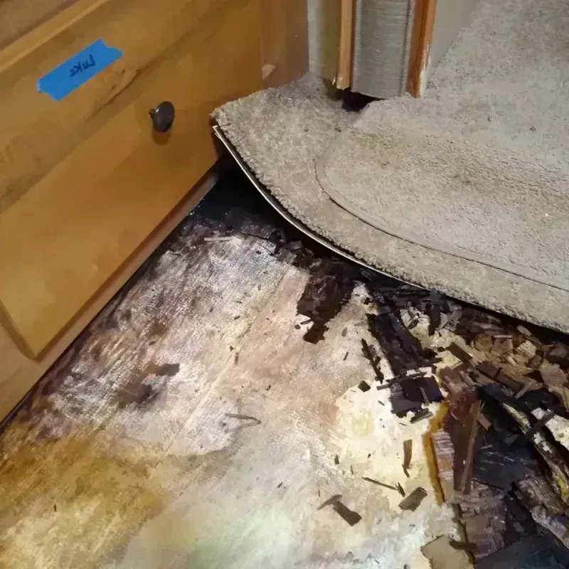 Wood Floor Water Damage in Modesto, CA